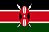 Nhóm khảo sát trực truyến và di động ở Kenya