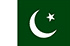 Online panel - nghiên cứu thị trường ở Pakistan