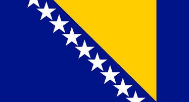 Nhóm khảo sát trực tuyến (online panel) ở Bosnia và Herzegovina