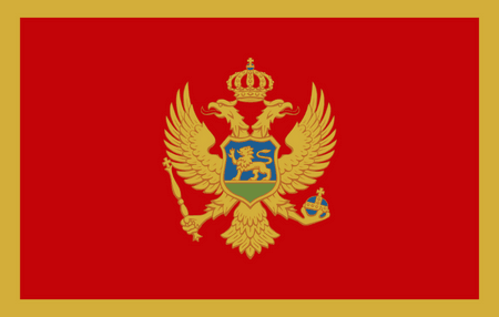 Nghiên cứu thị trường qua di động ở Montenegro