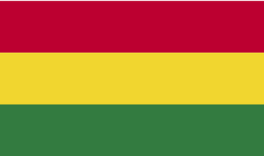 Nhóm khảo sát trực tuyến (online panel) ở Bolivia