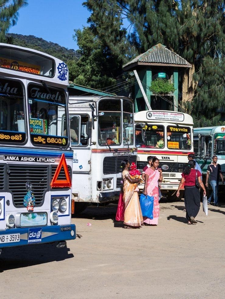 Khảo sát trực tuyến tại Sri Lanka
